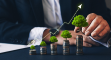 Subsidiary Information